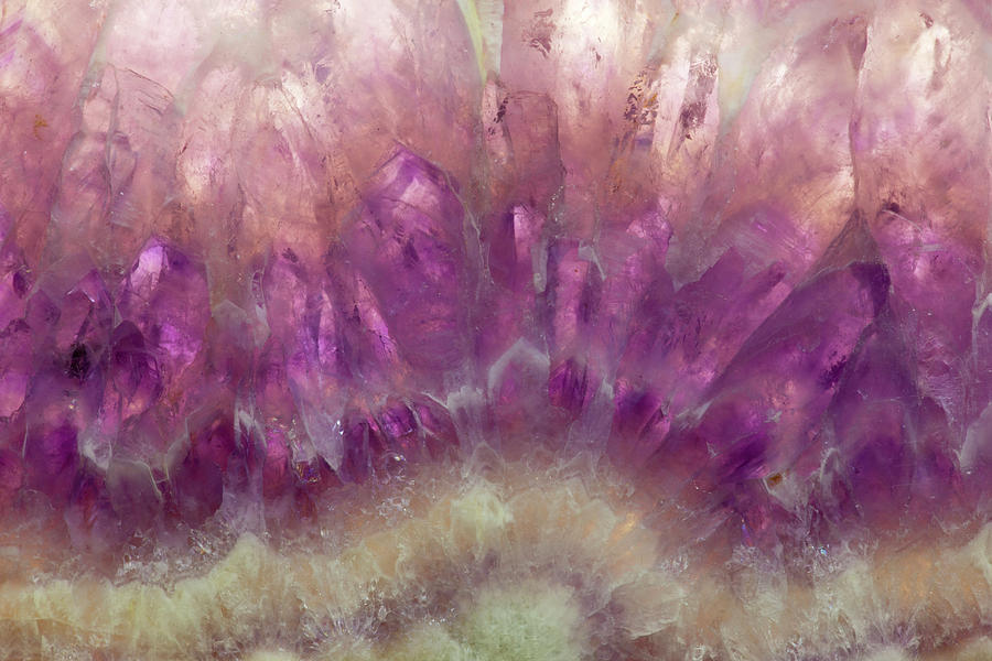 Amethyst Photograph by Darrell Gulin Amethyst Photograph by Darrell Gulin