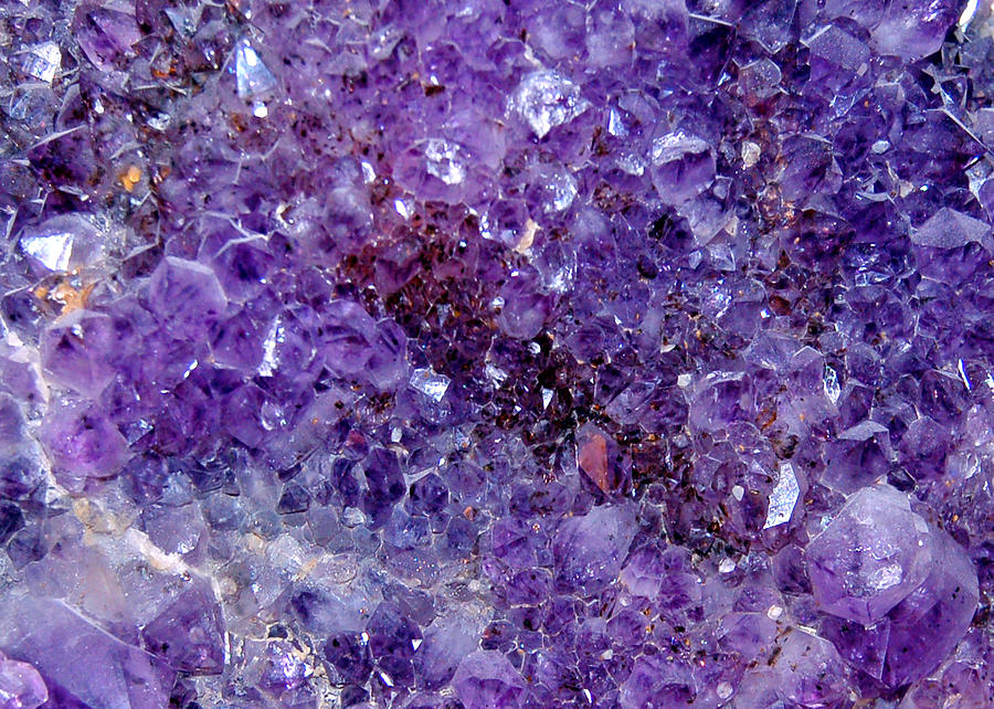 Shades of Amethyst Photograph by Donna Proctor