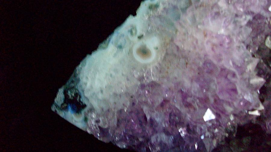 Amethyst Fish Photograph by Sharon Ackley