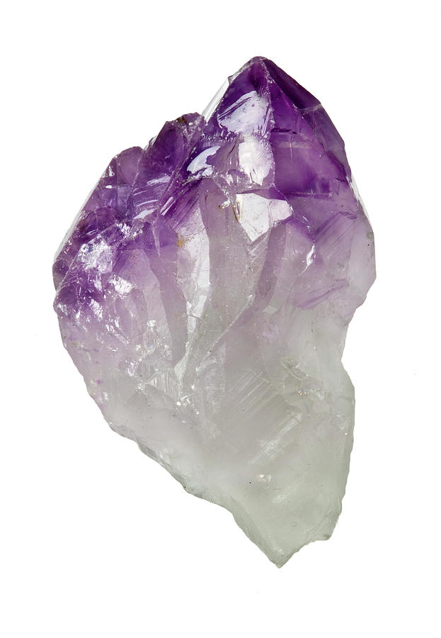 Amethyst Photograph by Natural History Museum, London/science Photo ...