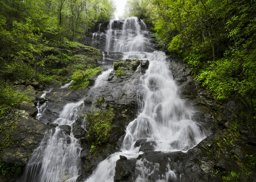 Mountain Photograph - Amicalola Falls by Debra and Dave Vanderlaan
