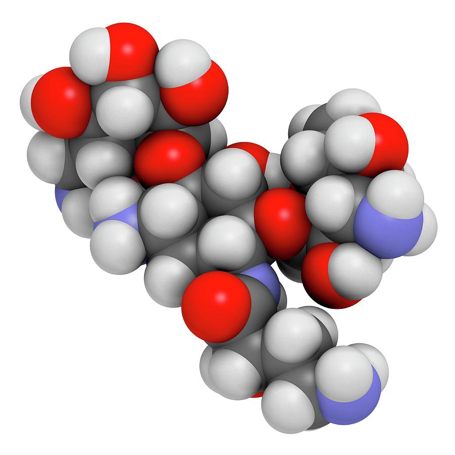 Amikacin Aminoglycoside Antibiotic by Science Photo Library