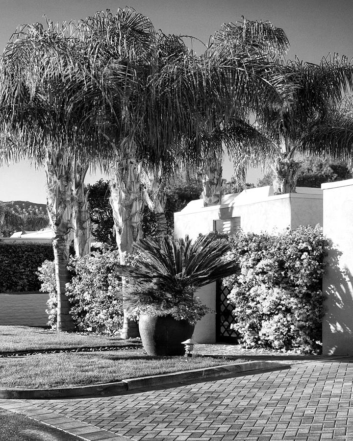 AMIR DRIVE BW Marrakesh Palm Springs Photograph by William Dey