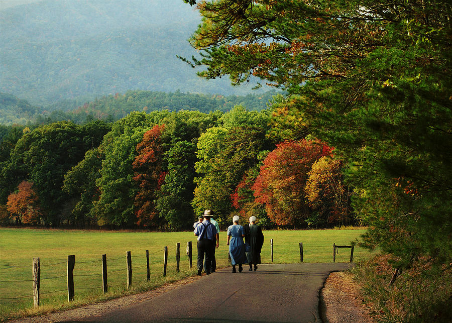 Amish Autumn Photograph by TnBackroadsPhotos