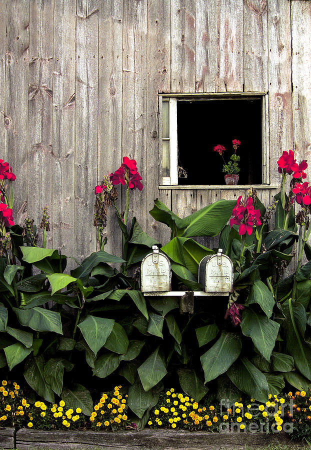 Flower Photograph - Amish Barn by Diane Diederich
