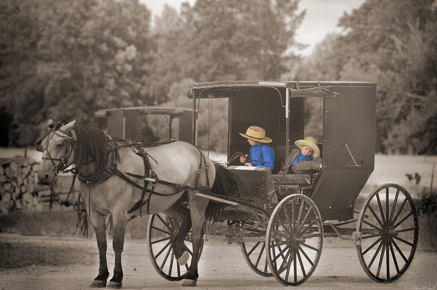 Amish Boys Photograph by Steven Michael