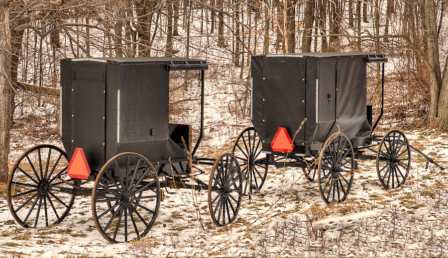 Amish Buggies Photograph by Joe Granita