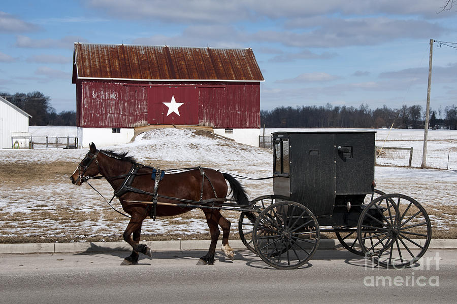 Amish Buggy and The Star Barn Photograph by David Arment