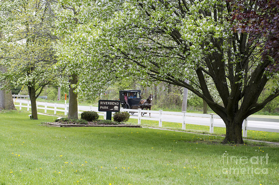 Amish Buggy at Riverbend Park Photograph by David Arment