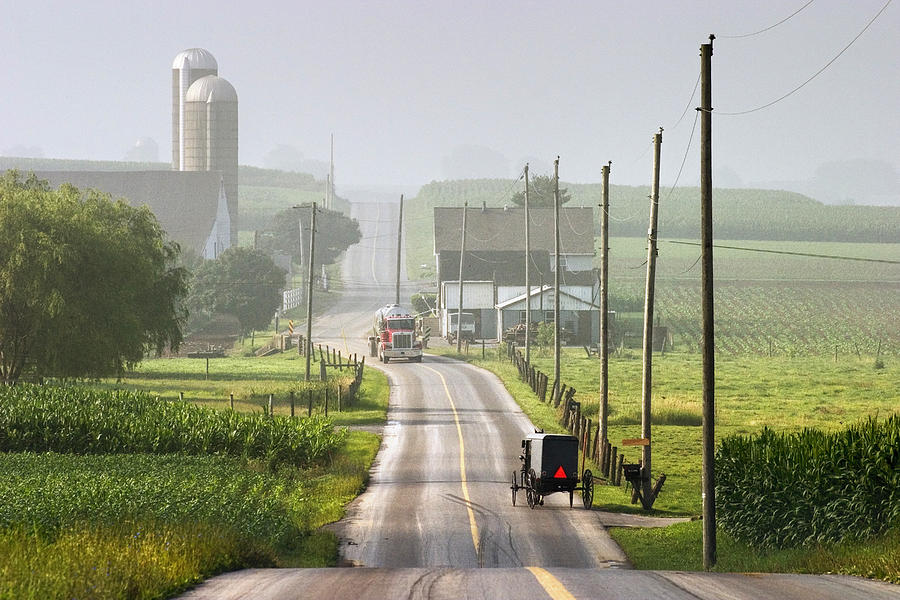 Amish Buggy confronts the Modern World Photograph by Randall Nyhof