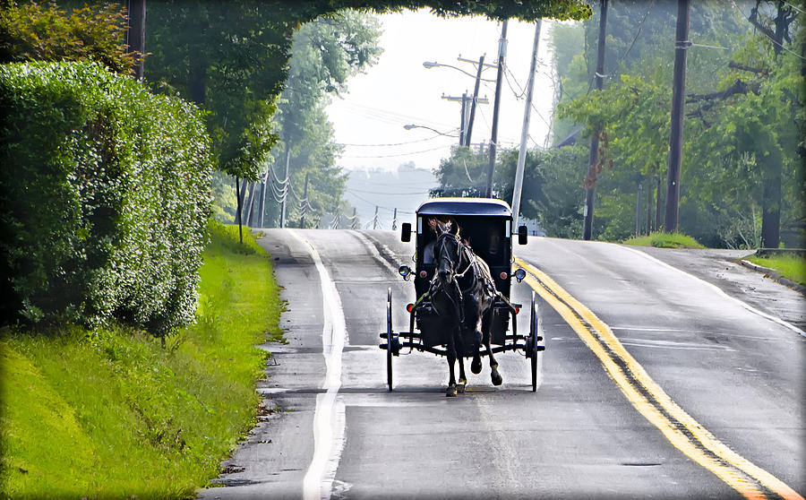Amish Buggy in Lancaster County Pa. Photograph by Bill Cannon