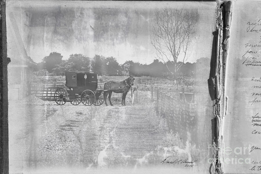 Amish Buggy in Old Book Photograph by David Arment