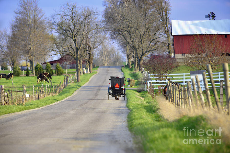 Amish Buggy May 2014 Photograph by David Arment