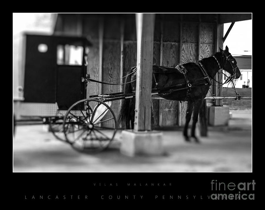 Amish Buggy Parking Photograph by Vilas Malankar