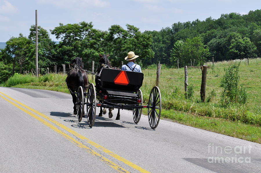 Amish Photograph - Amish Buggy by Penny Neimiller