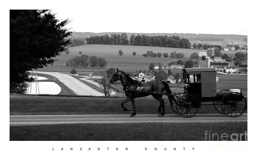 Amish Buggy Ride Photograph by Vilas Malankar