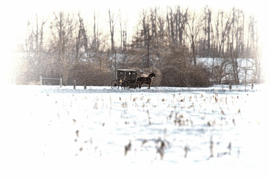 Winter Photograph - Amish Buggy Shipshewana Feb 2014 by David Arment