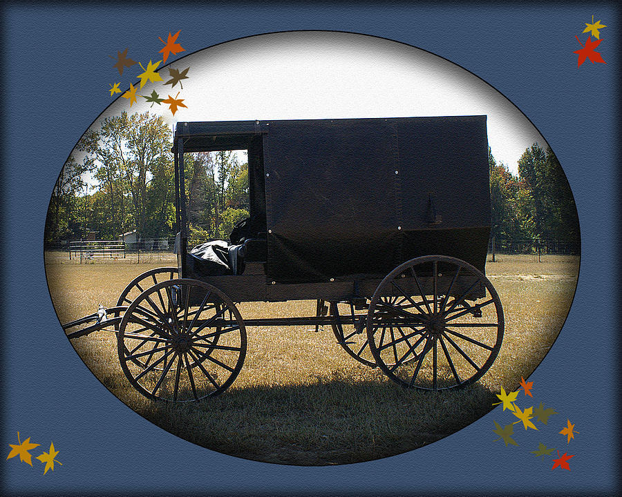 Amish Buggy Digital Art by TnBackroadsPhotos 