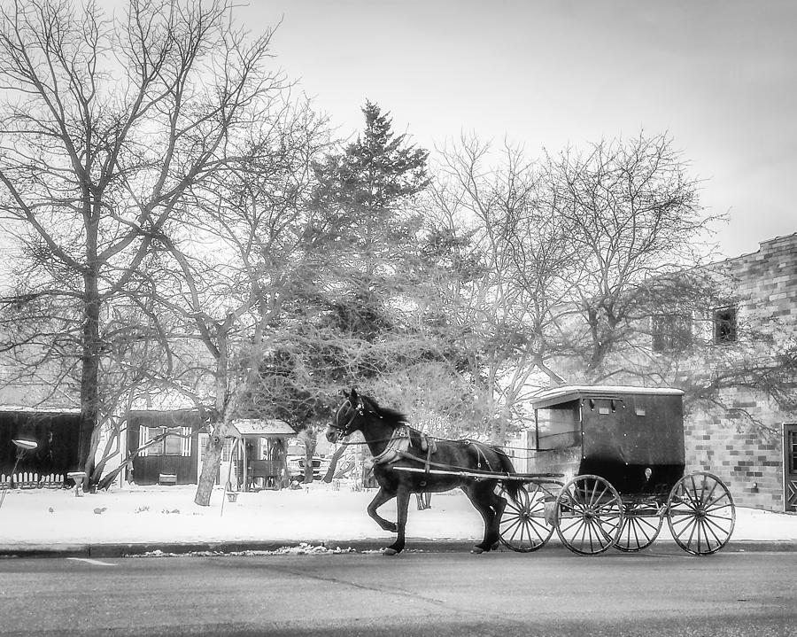 Amish Buggy Photograph by Tom Gort