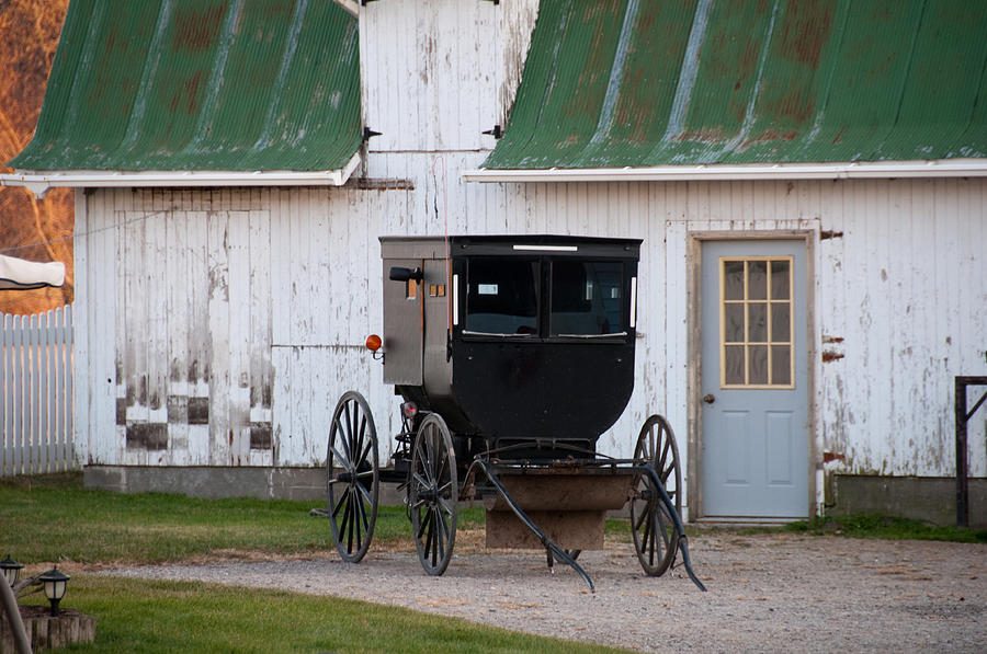 Amish Buggy White Barn Photograph by David Arment
