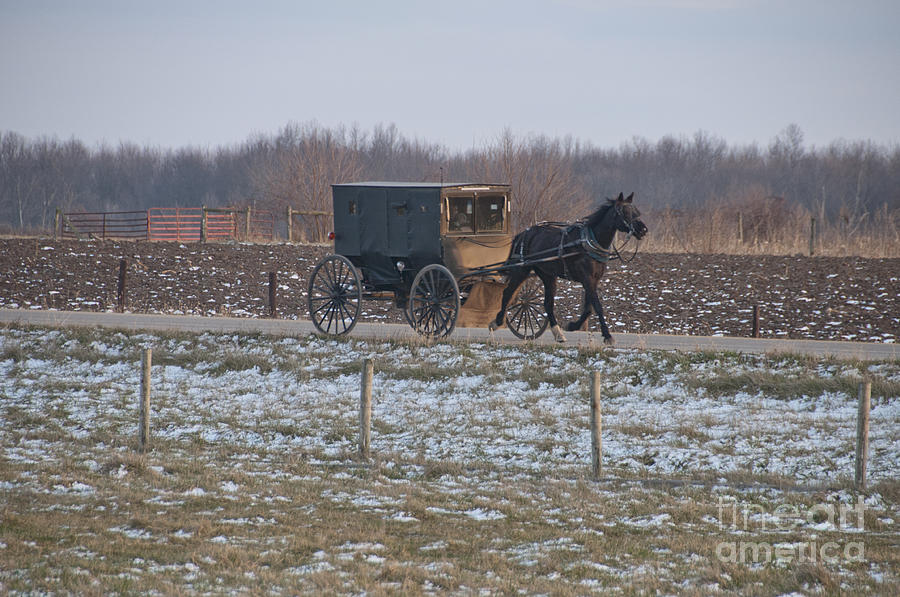 Amish Buggy Photograph - Amish Buggy Winter 2012 by David Arment