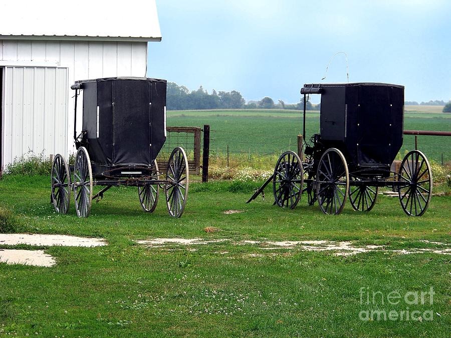 Amish Buggys Photograph by Charles Robinson