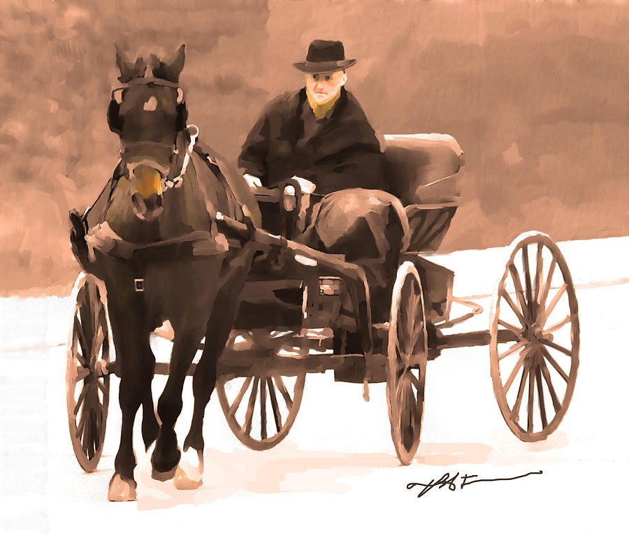 Amish Carriage Digital Art by Bob Salo