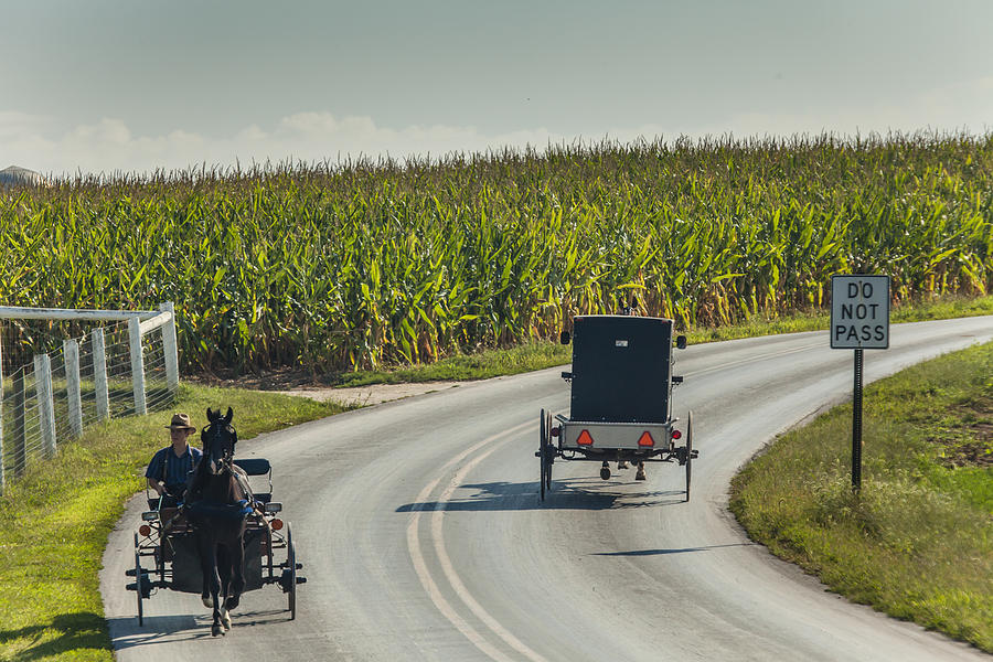 Amish Carriages Photograph