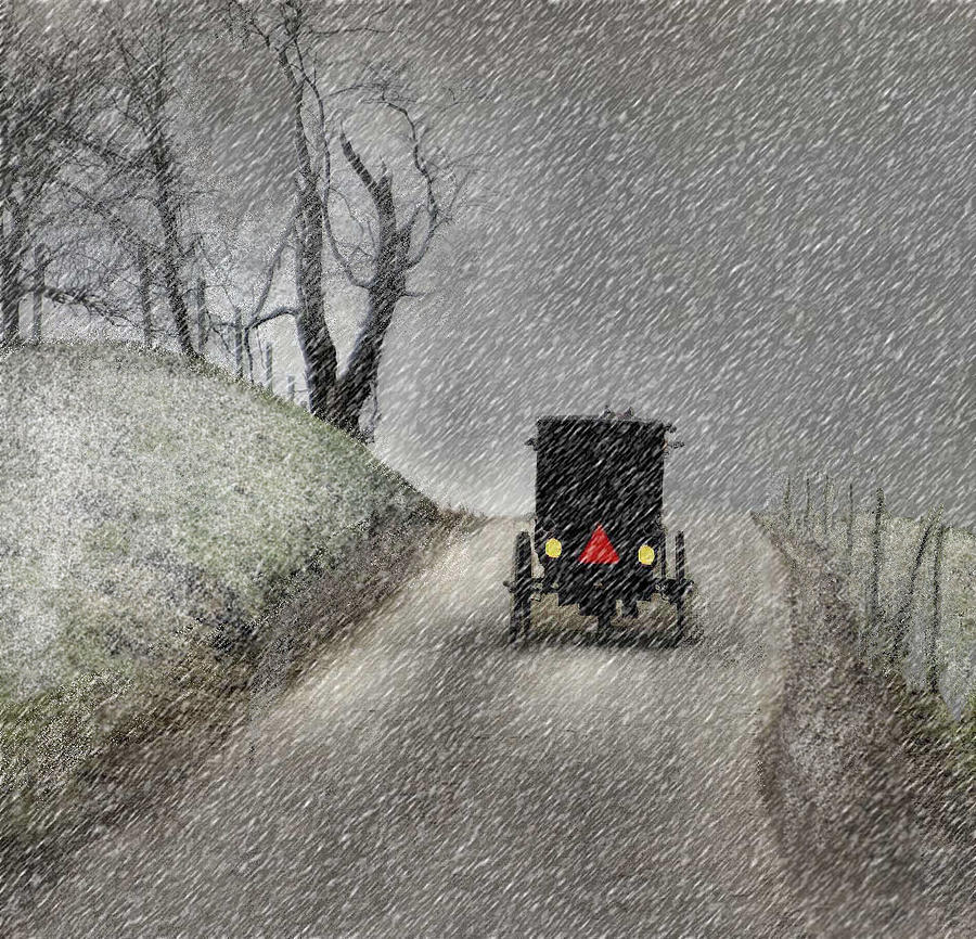 Amish Christmas Photograph by William Griffin