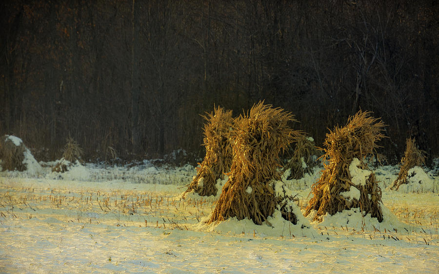 Landscape Photograph - Amish Corn Shocks by Dick Hudson