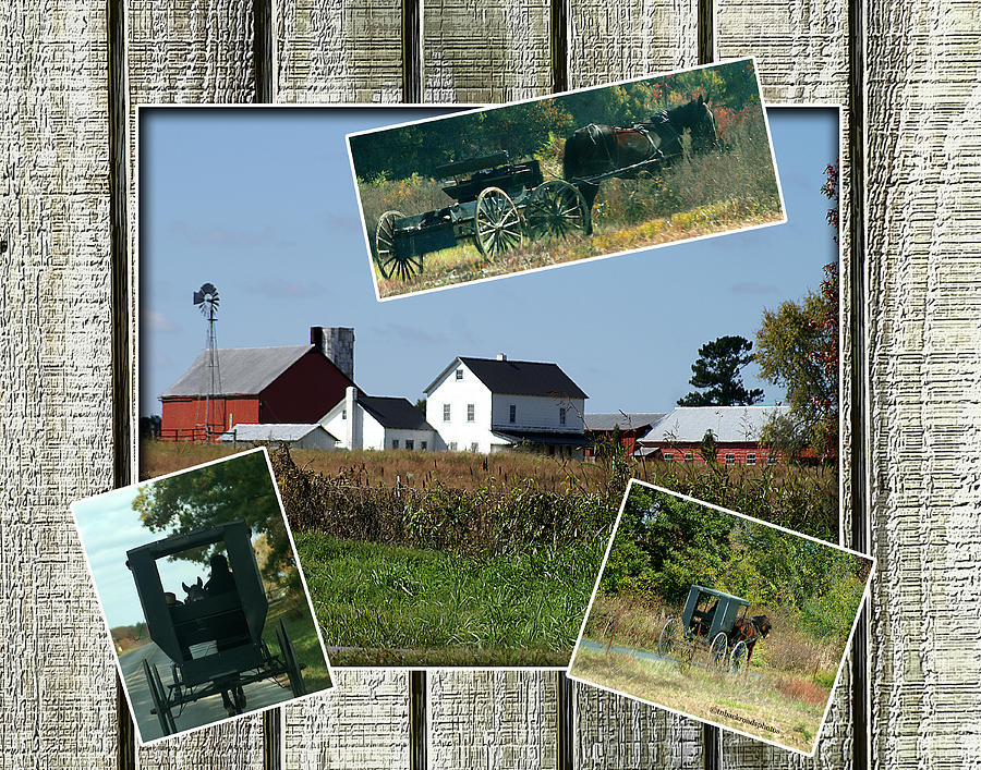 Amish Country Collage Photograph by TnBackroadsPhotos 
