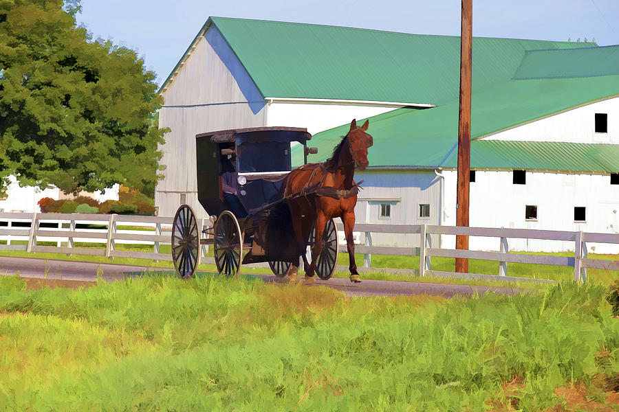Amish Country Photograph by Jack R Perry