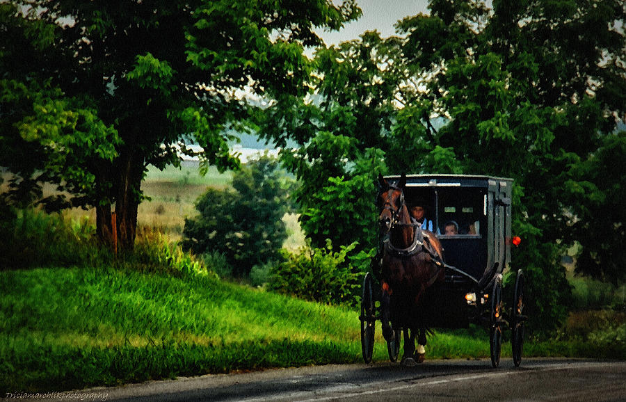 Amish Country Photograph by Tricia Marchlik