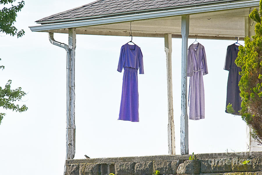 Amish Dresses Drying Cloudless Sky Photograph by David Arment
