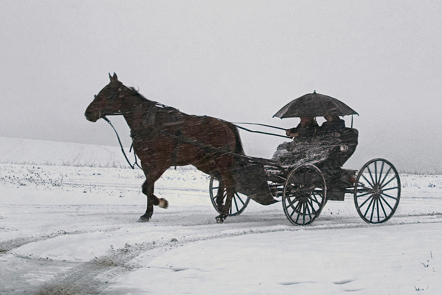 Amish Drive-By Photograph by Gene Walls
