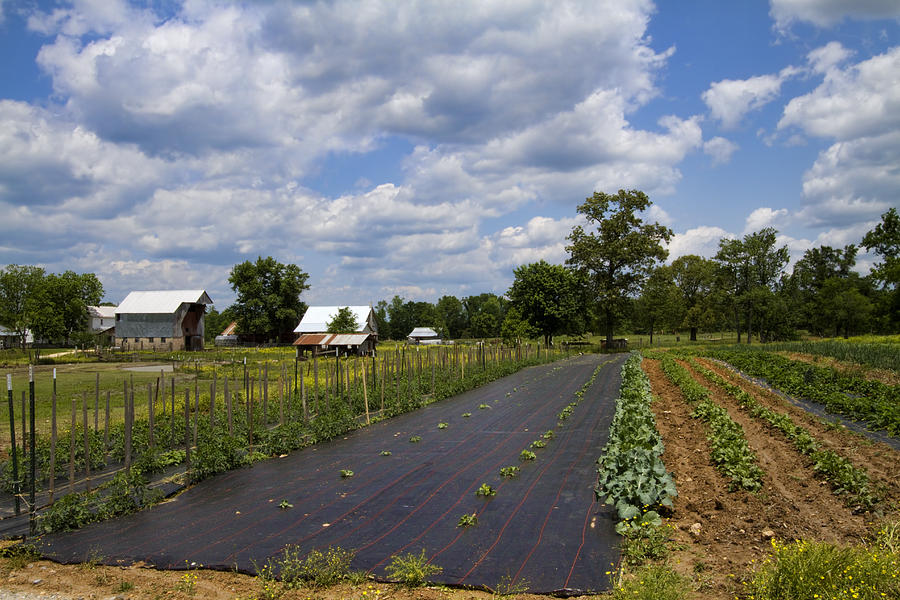 Amish Farm and Garden Photograph by Kathy Clark