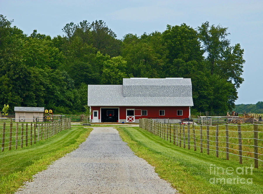 Tree Photograph - Amish Farm by Ann Horn