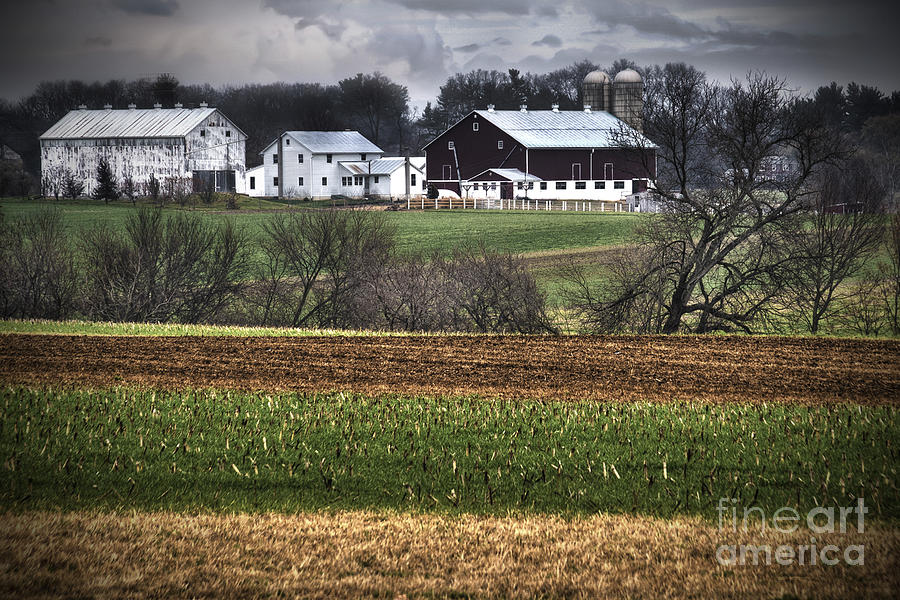Amish Farm Photograph by  Gene  Bleile Photography 