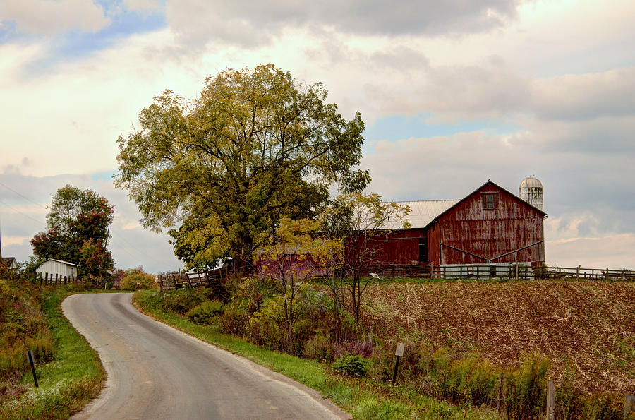 Amish Farm II Photograph by Ann Bridges