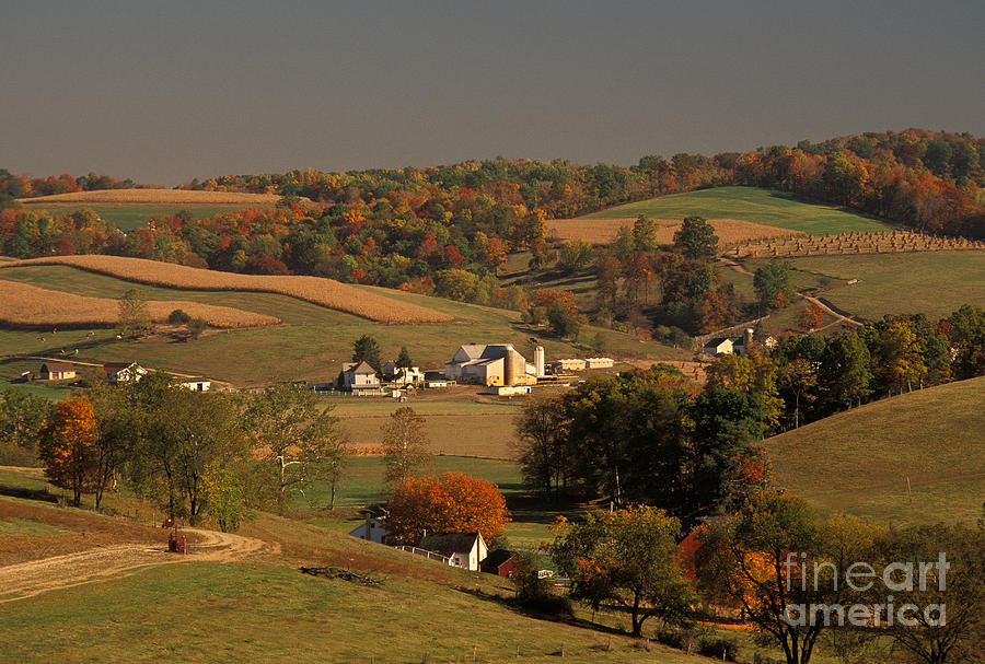 Amish Farm In An Ohio Valley In The Fall Photograph by Ron Sanford