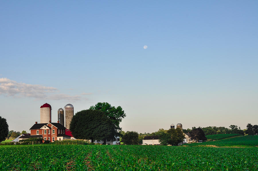 Farm Photograph - Amish Farm - Lancaster County by Bill Cannon