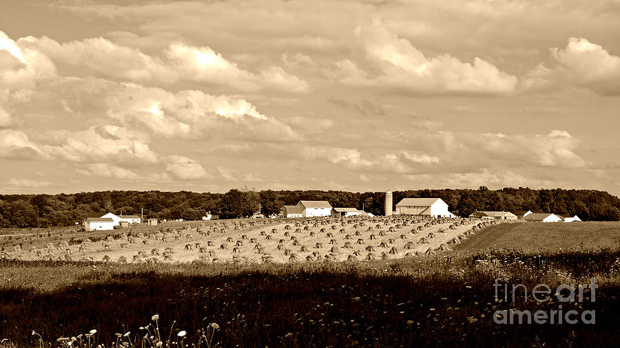 Amish Farm Photograph by Lila Fisher-Wenzel