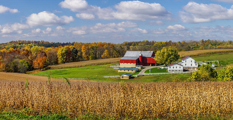 Ohio Amish Farm near Millersburg Photograph by Robert Powell - Fine Art