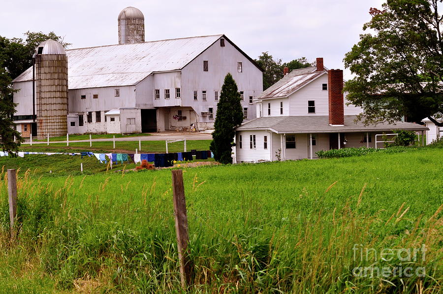 Amish Farm Photograph by Penny Neimiller