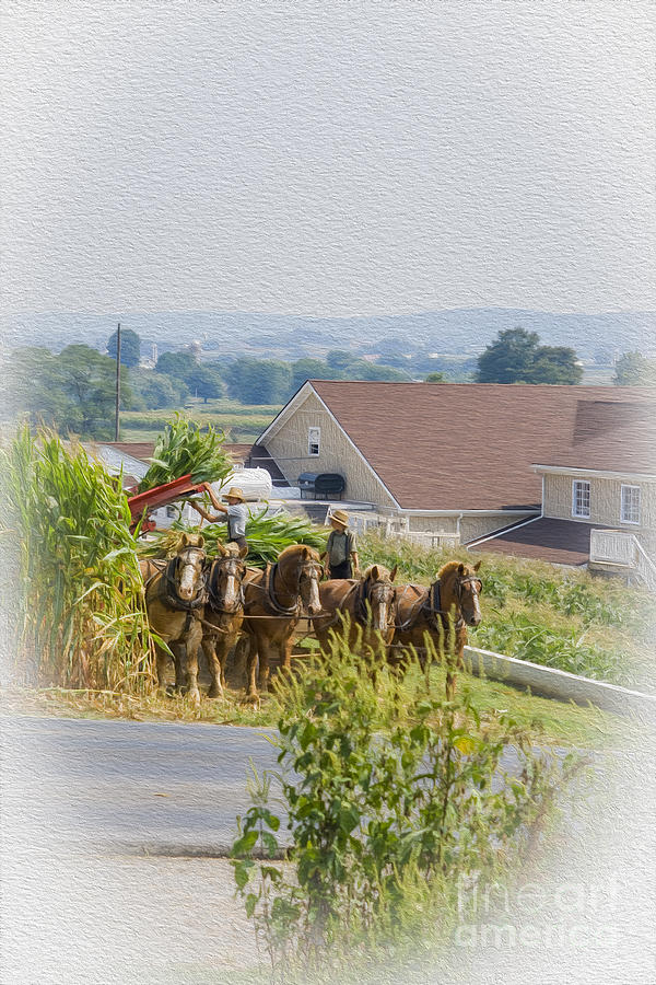 Amish farmer and son Digital Art by Patricia Hofmeester
