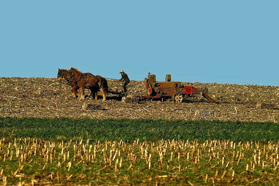 Amish Farmer Plowing Photograph by Sally Weigand