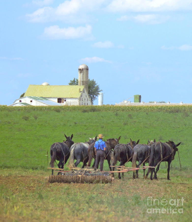 Amish Farmer Working the Land Photograph by Diane Diederich