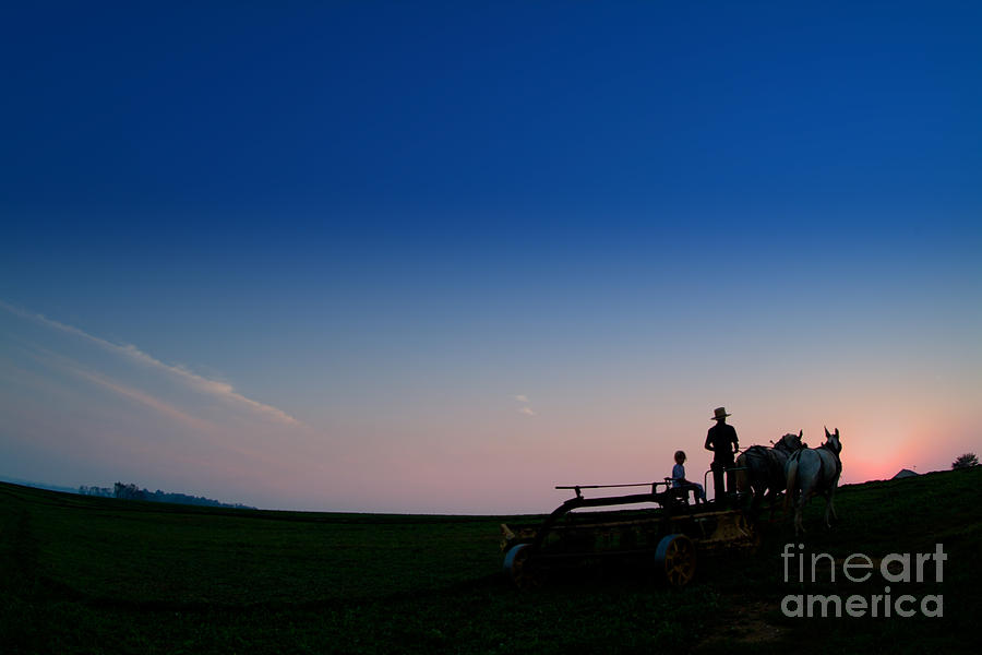 Amish Farming Photograph by Bill Bachmann