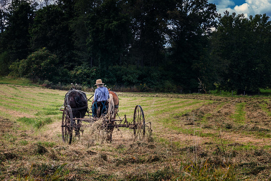 Horse Photograph - Amish Farming by Tom Mc Nemar