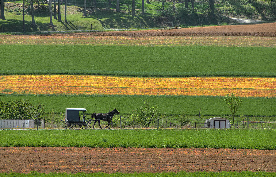 Amish Farmland Photograph by Dyle   Warren